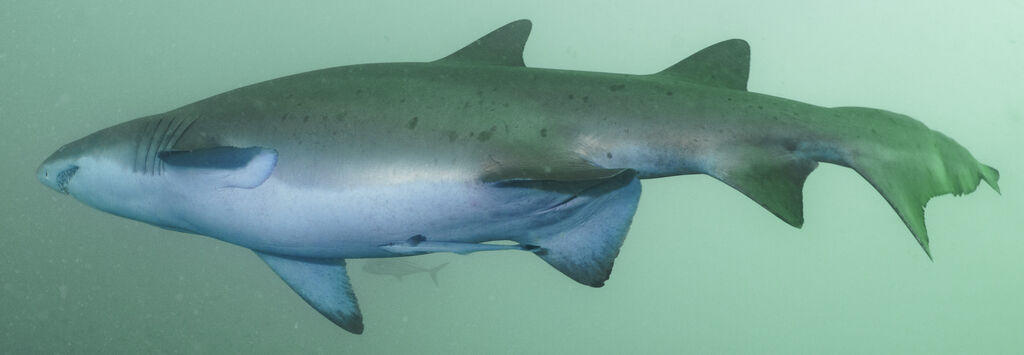 4a8054e3-15f8-4080-8b5d-3beba6099c05