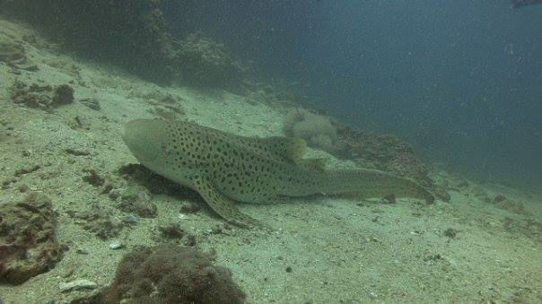 18935a8e-9441-4aa9-a14e-920e05b86764