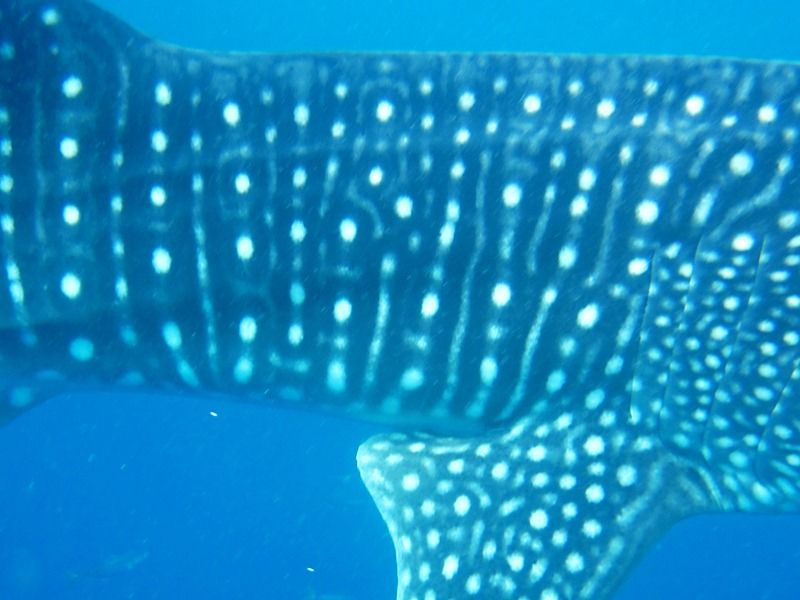 7fad0e35-4d8d-499b-9183-dca32d3ccc32