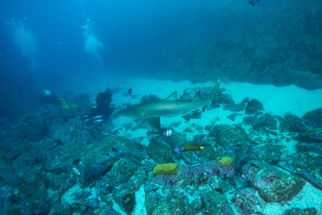 8525593e-7224-47e7-b142-94126f01daa3