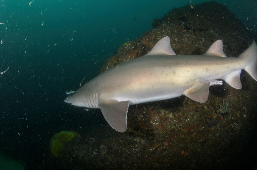 1331fea0-a09c-40c1-ba11-154bad19fcd2