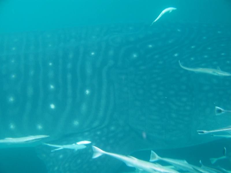 1d82b352-5229-4647-a1c3-1be694cb3f13