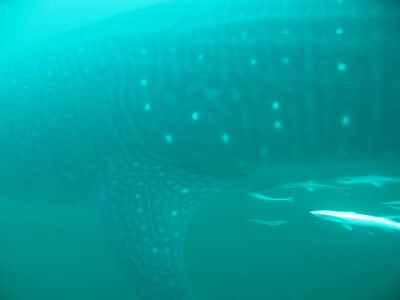 1d82b352-5229-4647-a1c3-1be694cb3f13