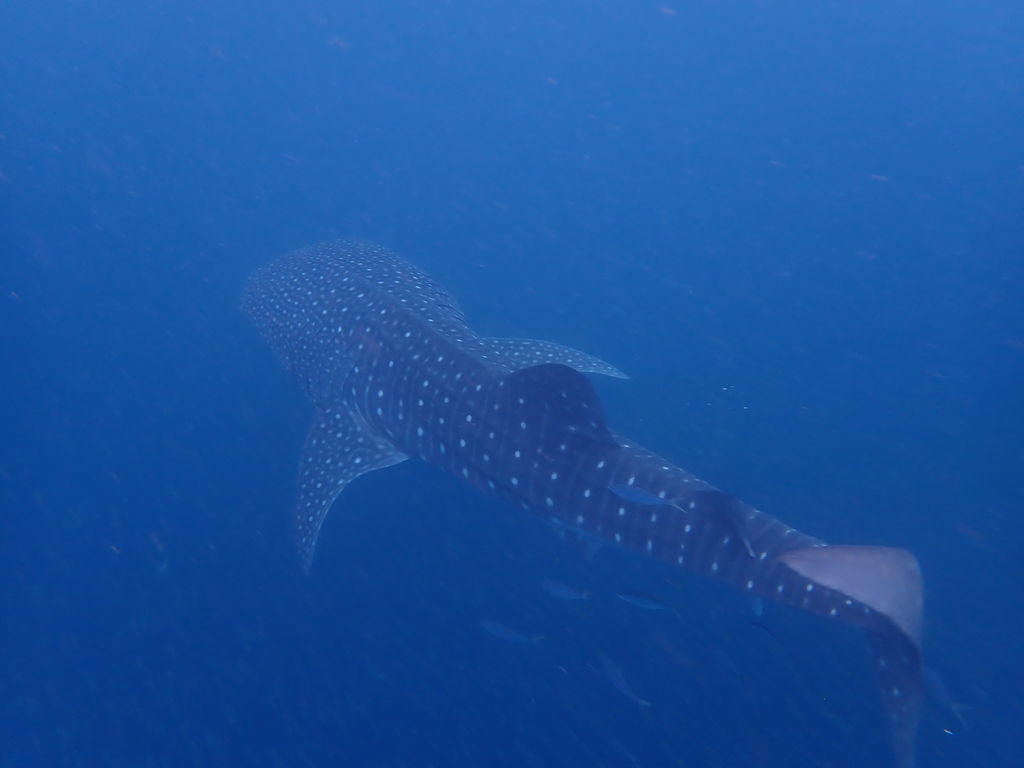 db0f751a-1fa5-4ddf-9b2b-f5ef1b967224