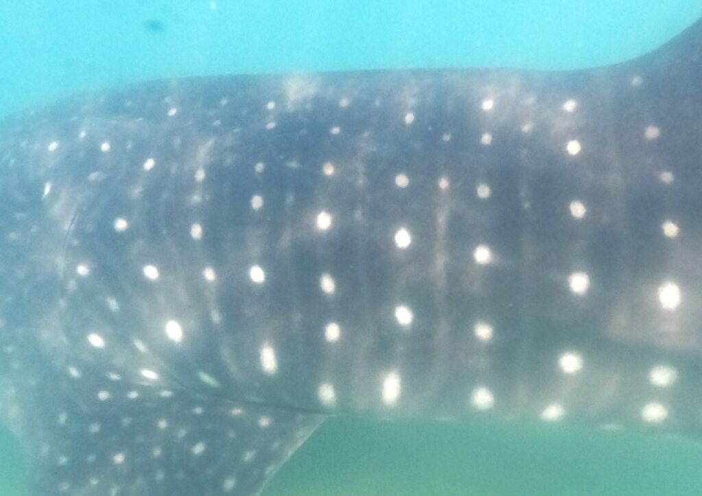 a13c8463-4597-4d5d-a5ed-f7c3ac5ff982