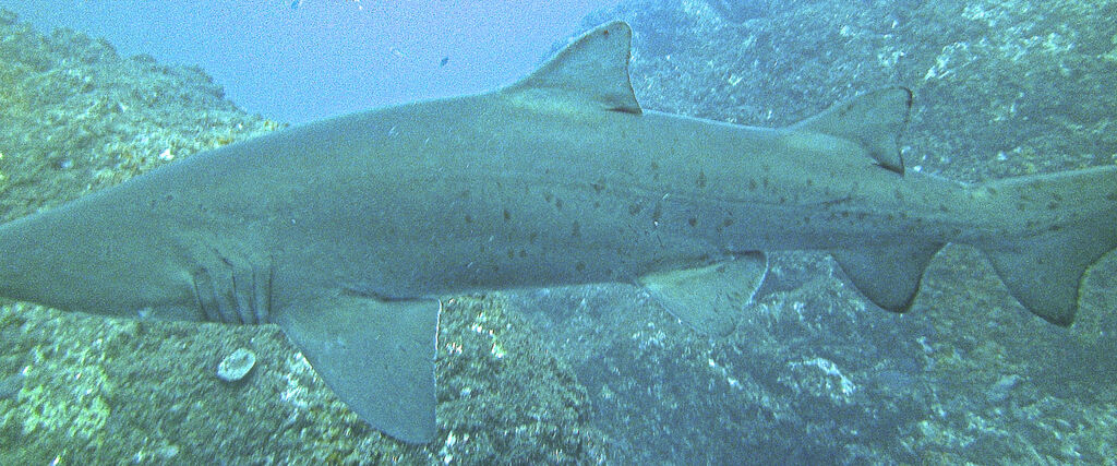 ad9992de-ba73-4394-ac43-e41a63c3a7c2