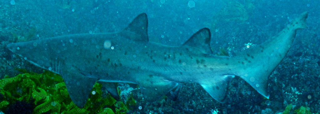 e835ea06-fb1c-4797-998f-10ad31f28679