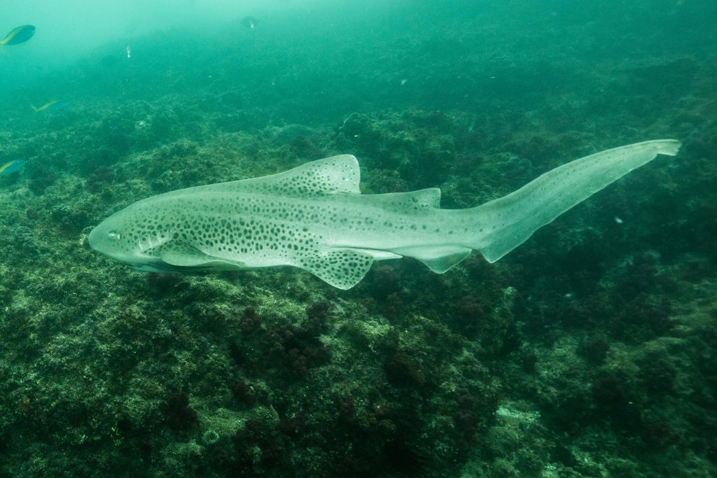 822a09dc-09dc-4158-817d-b5d1def3de39