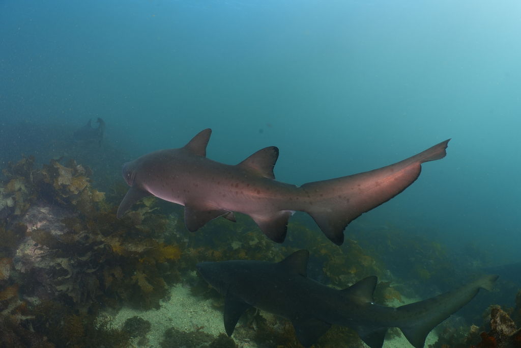 19a7750c-7bfc-4068-b662-1e428cfacfc0