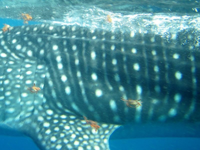 f4da3f78-3c67-4019-879d-c4e684a595fe