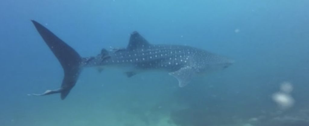 82f29760-6c3d-4561-ad9a-3dd106e53ce3