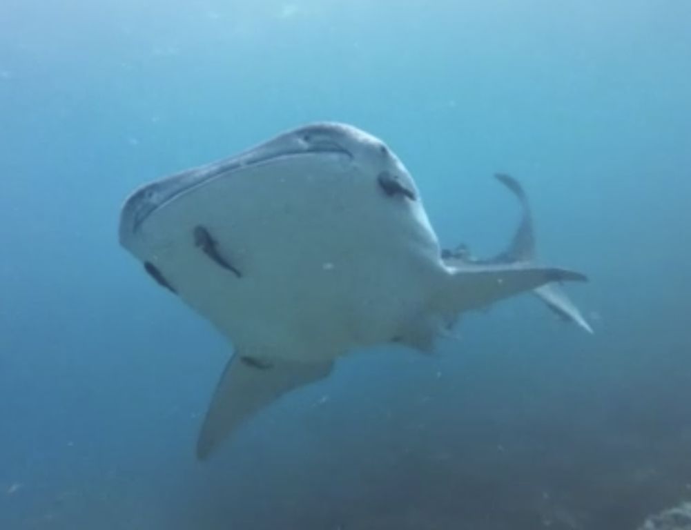 82f29760-6c3d-4561-ad9a-3dd106e53ce3