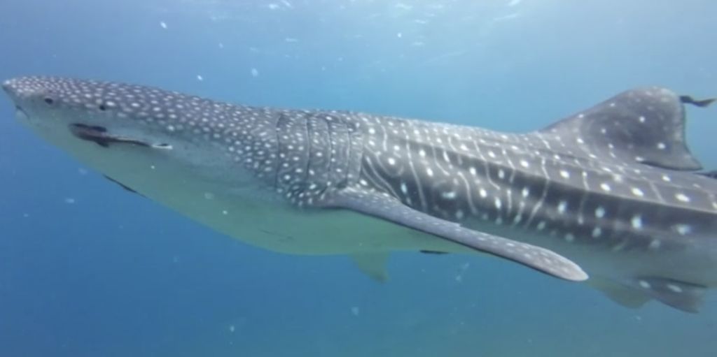 82f29760-6c3d-4561-ad9a-3dd106e53ce3