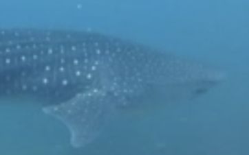 82f29760-6c3d-4561-ad9a-3dd106e53ce3