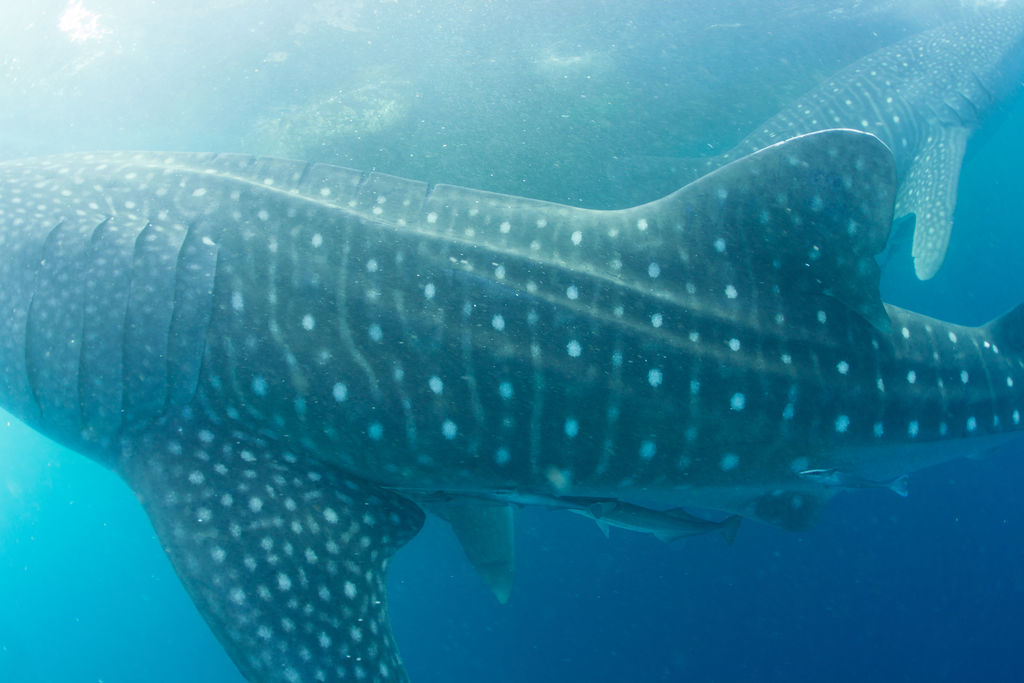 40eda02b-1b3e-4a7c-86dd-a10560660a81