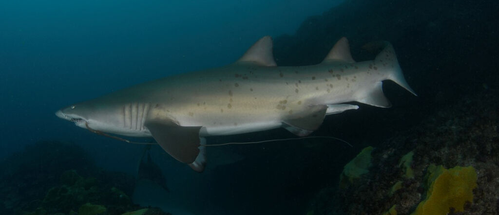 b5da7fec-5f63-400e-944a-7d2dd04e6845