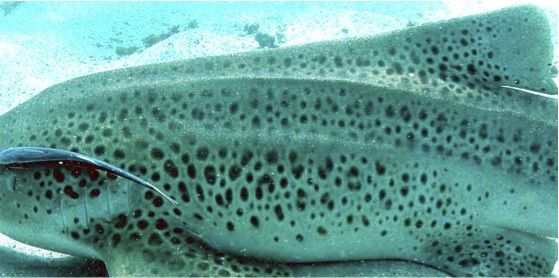 de7863a7-e4c6-412d-b408-ca0ca129c763