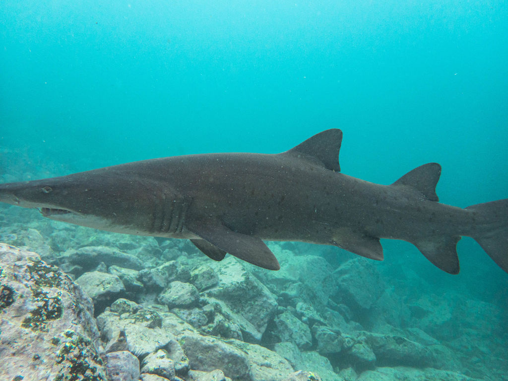 7f9f7930-97d8-4534-95f4-d85a60b195b7