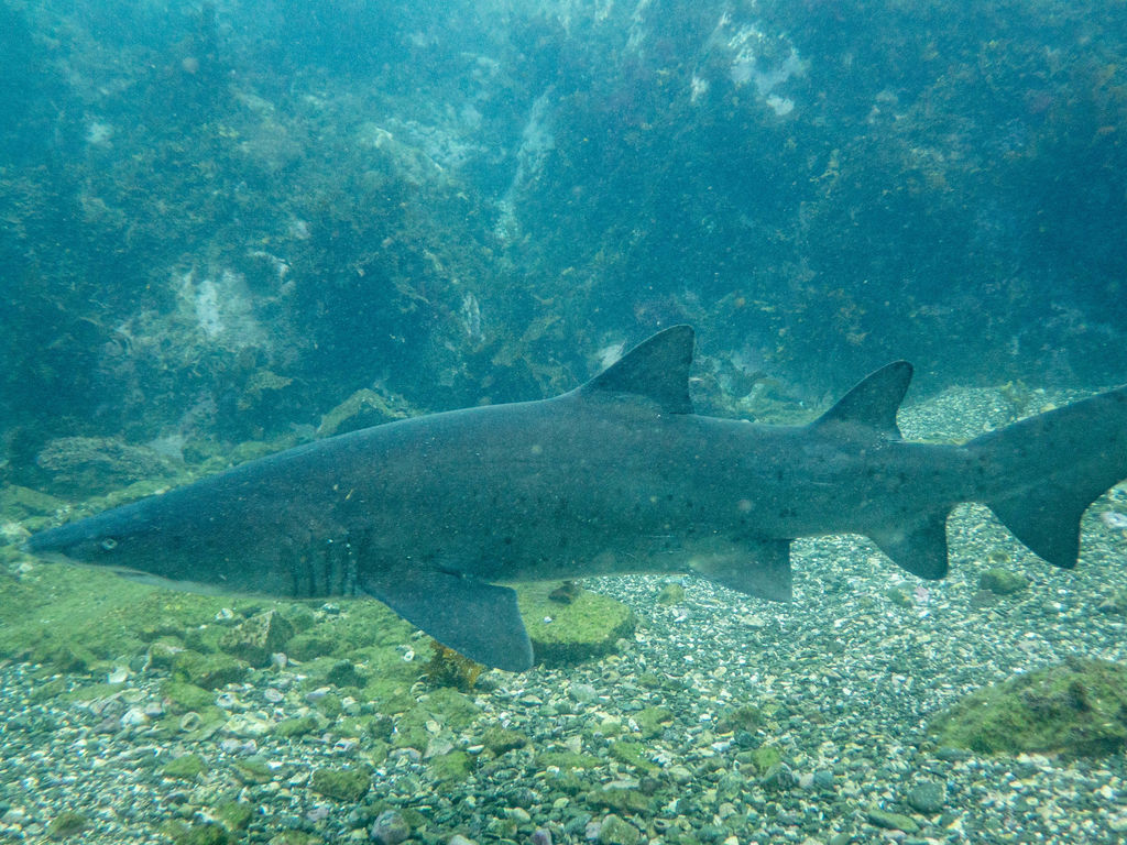 7f9f7930-97d8-4534-95f4-d85a60b195b7