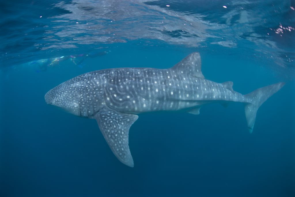 7dff9374-298b-44f6-9855-c0be59529f41