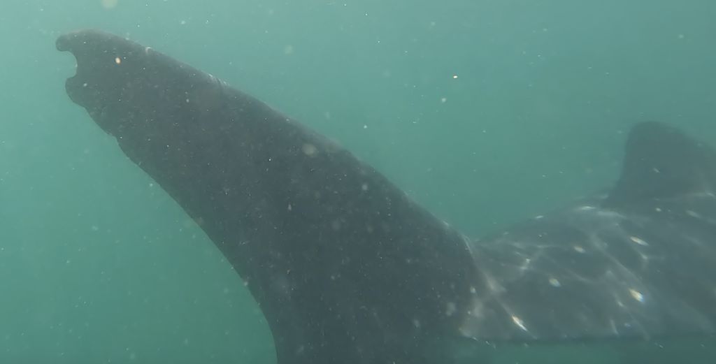 71cd50ce-27d2-4d04-890e-62be56b8e1a7