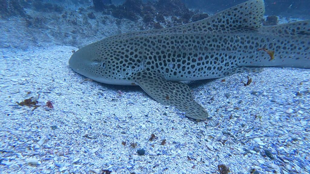 8d183822-cca5-4846-af8f-246e112f0016