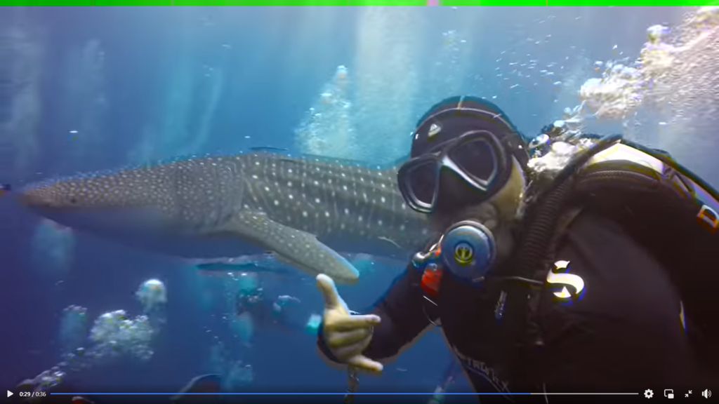 f9f3ffd0-ea9b-4002-8c83-c97297b89db9