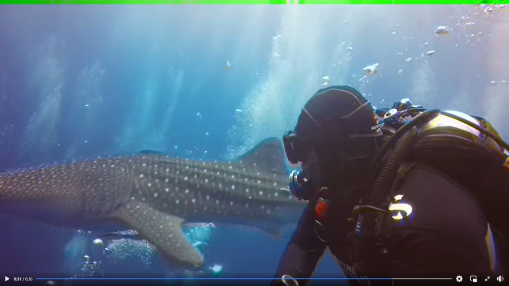 f9f3ffd0-ea9b-4002-8c83-c97297b89db9