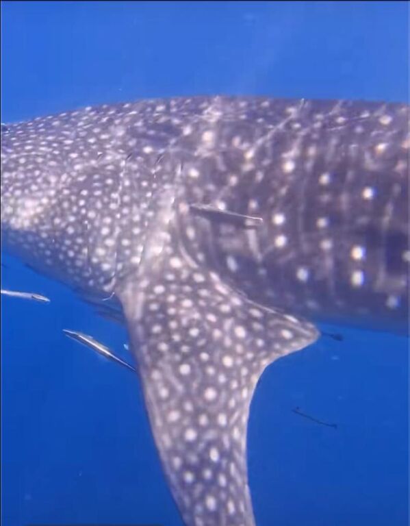 3423089a-a936-47fa-938b-23840666982d