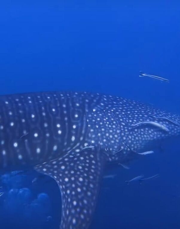 3423089a-a936-47fa-938b-23840666982d