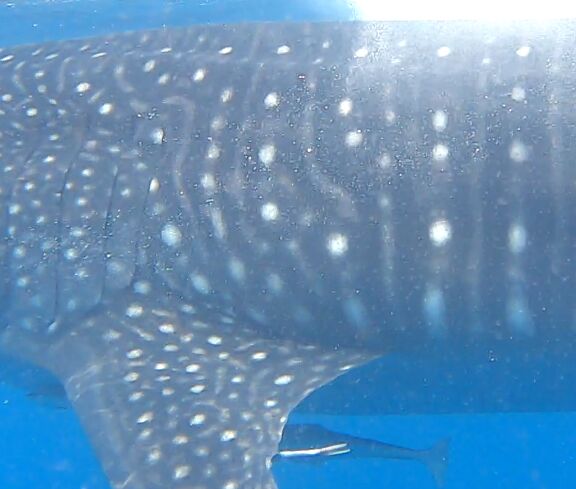 9856f41c-4f27-44f1-994b-215e97f213ca