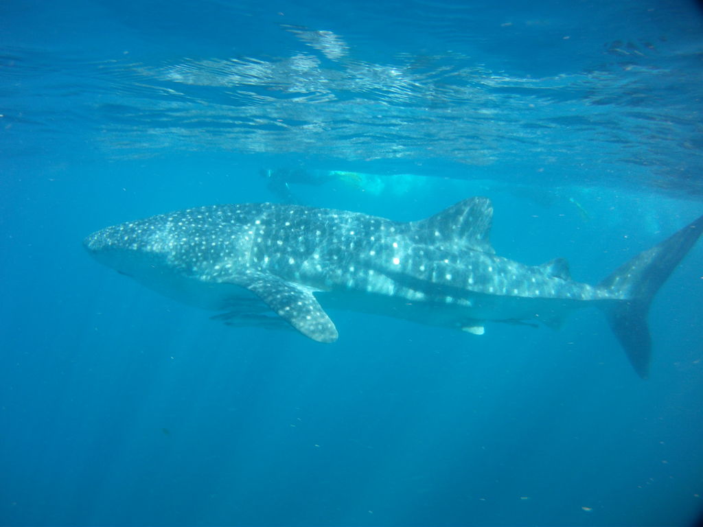 8937a203-48fa-488b-9666-bb1ceba21a6c