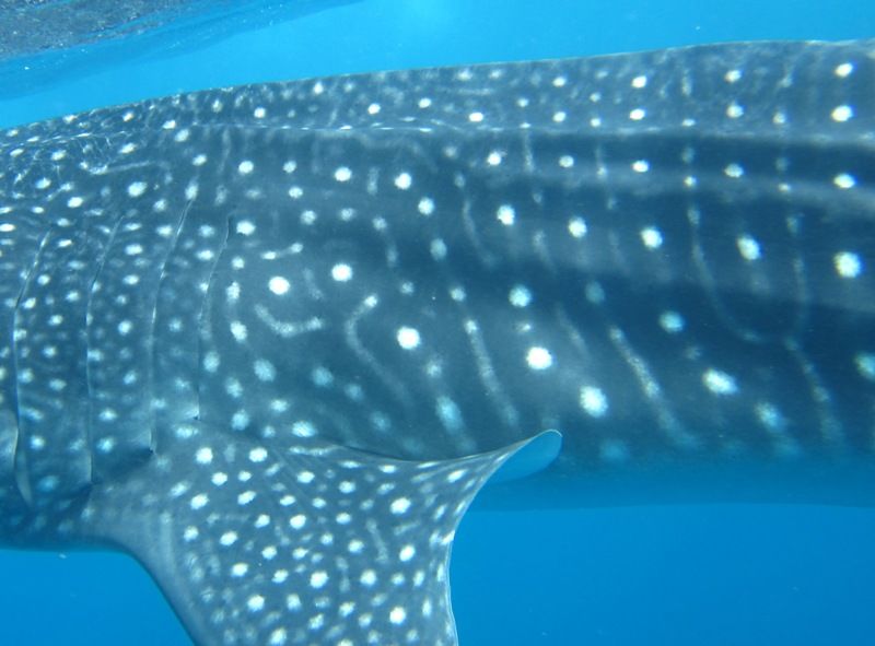 9dbfe800-f280-47f2-9509-406f5c00e8a4