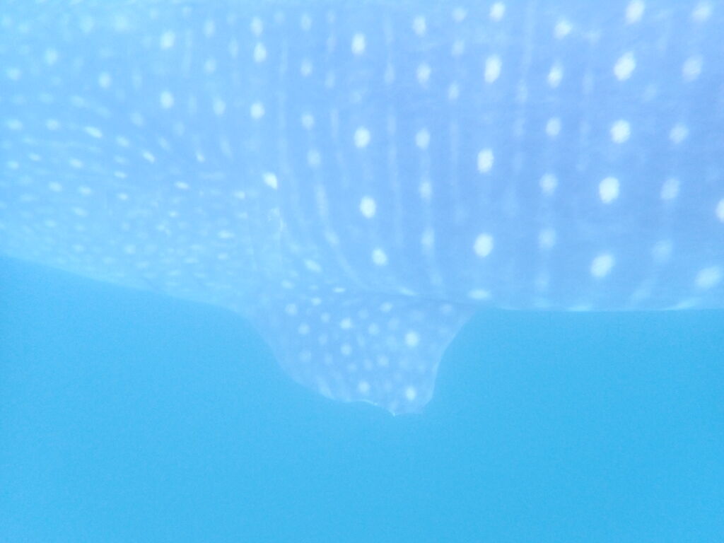 b516817b-2e69-4a8a-becc-e3a0583d14b0