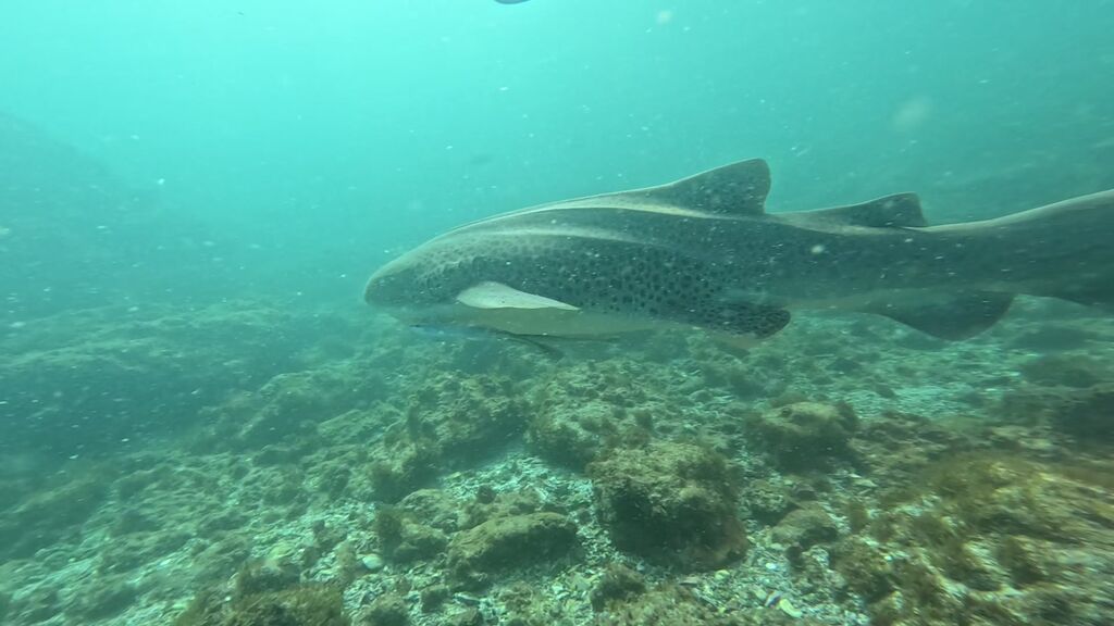 cc7c07cb-bece-4562-9122-5190afeaf040