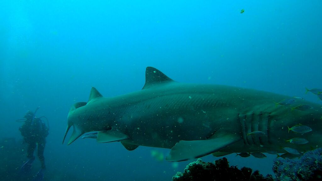 451d2b02-0b16-42be-872e-bddecea7eca2