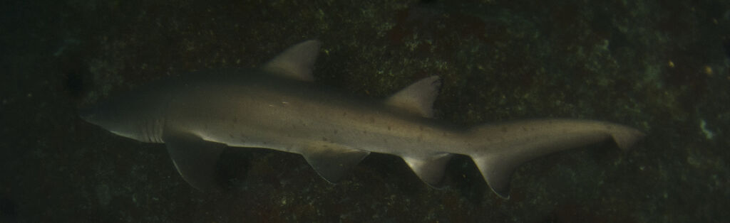 7beb463f-0516-4003-9315-8fc0015d2019