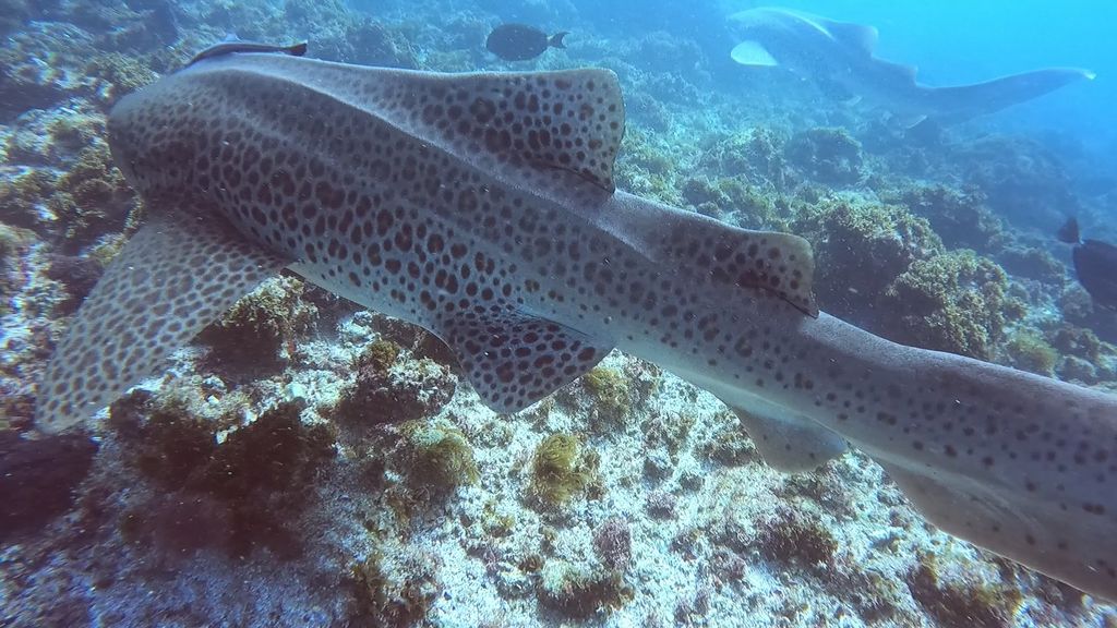 e42ffd1f-b25f-4f48-9209-b5b5a3ef7f56