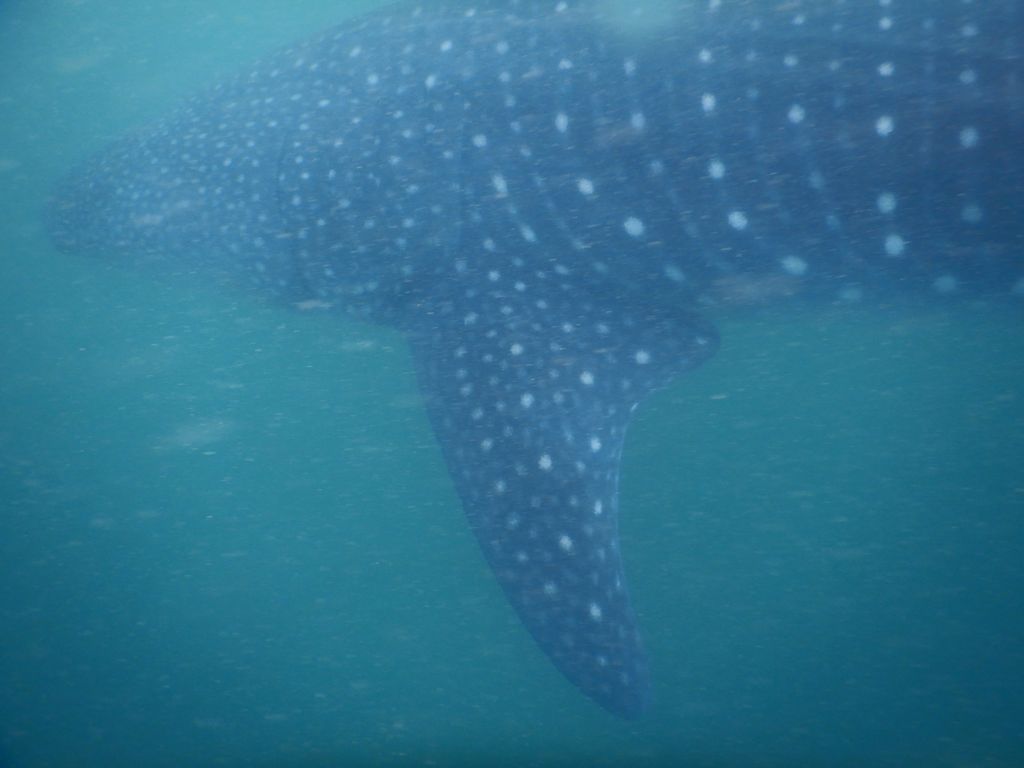 601afad2-002a-4c91-ade6-886fc3b3ccc7