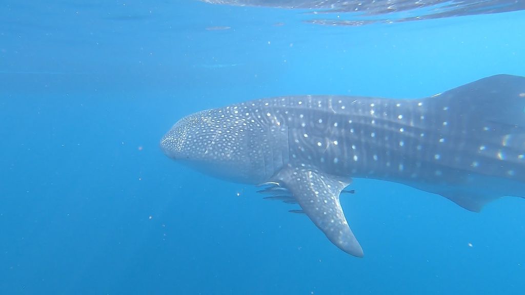 137cb260-3e06-488c-bcce-e4648189bd04