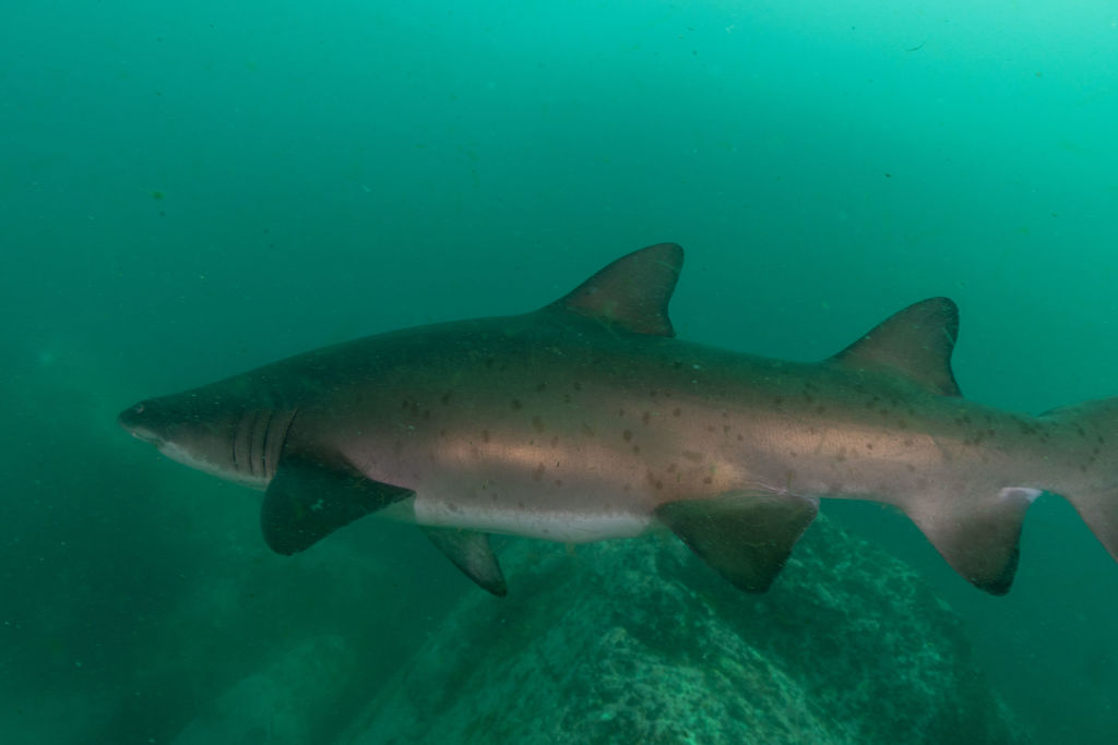 812e8af3-1cb6-494d-908b-86b26ac061ba