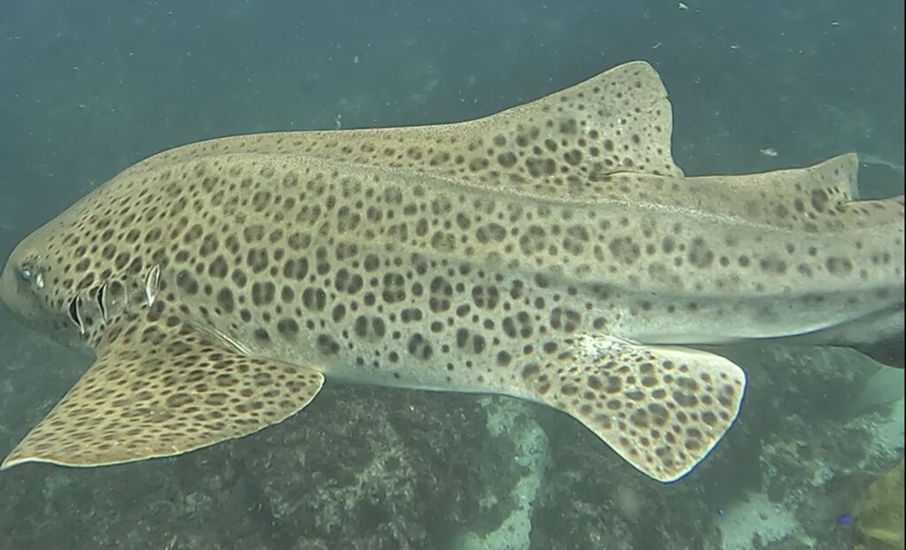 9d645b58-b67d-4f65-9061-3940d8102f90