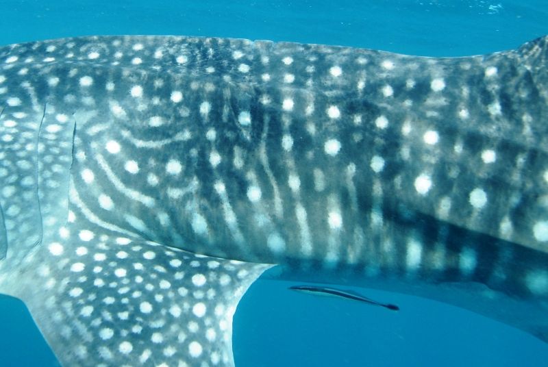 b24e054d-01d1-495d-a9a2-cbb174cc4700