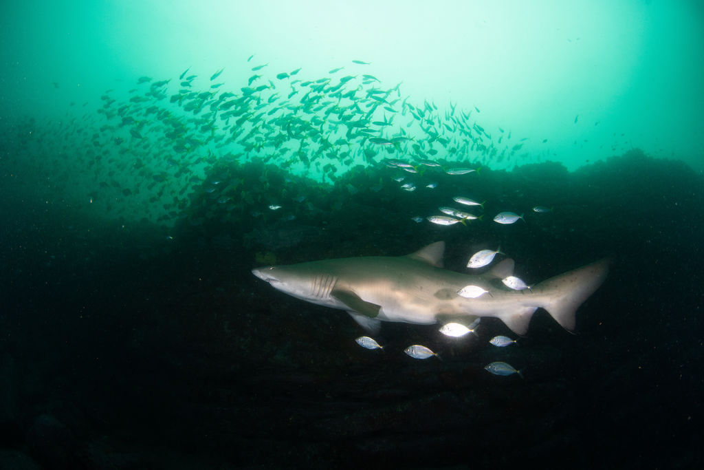 9a4a308b-b93f-4d93-b118-81877df43154