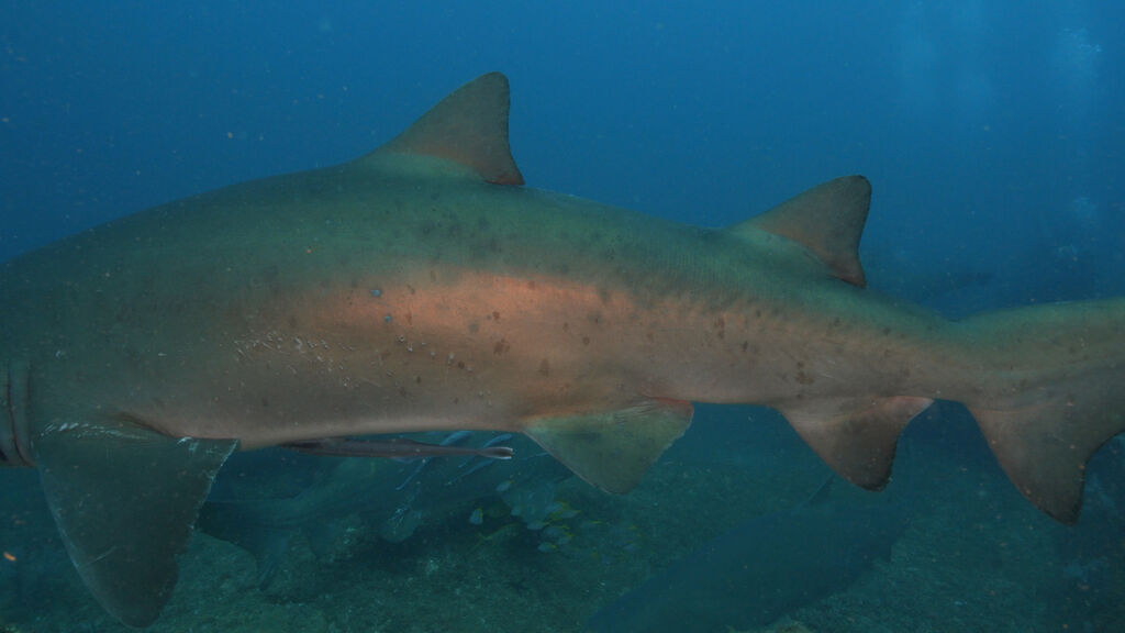 90e7d942-3483-41d4-a736-4e5eef1f17ac