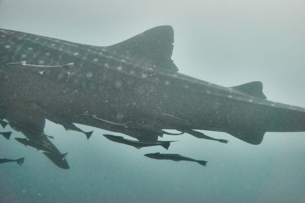 a41ec30d-76a3-4640-914e-dfadc835d4f0