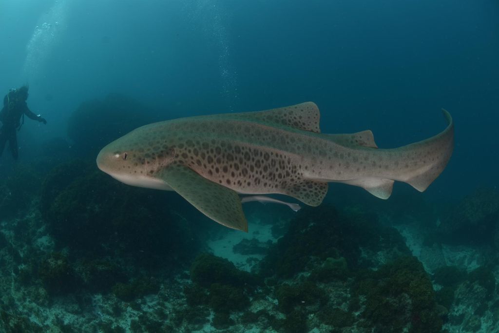 b5449b48-6042-4655-a1b7-74cb8280e2a5