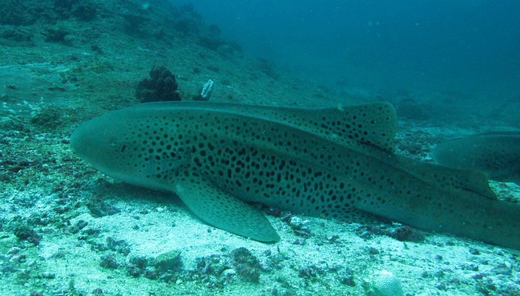 ff8f6f5f-507a-49e9-ab6c-4195df751998