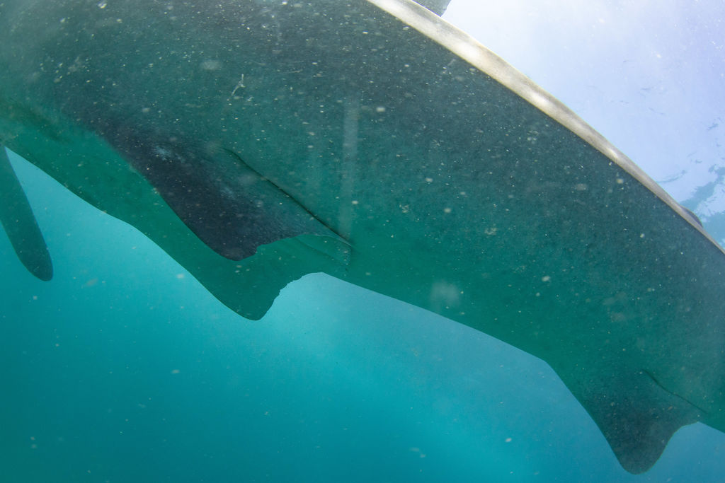 dfda2437-aa99-445f-9746-3972681a273d