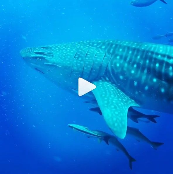 c4dd8bc5-d89f-4b18-b6ac-c0593532a959